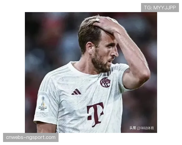 德甲新赛季设立球迷票选最佳球员奖项，增强互动性。